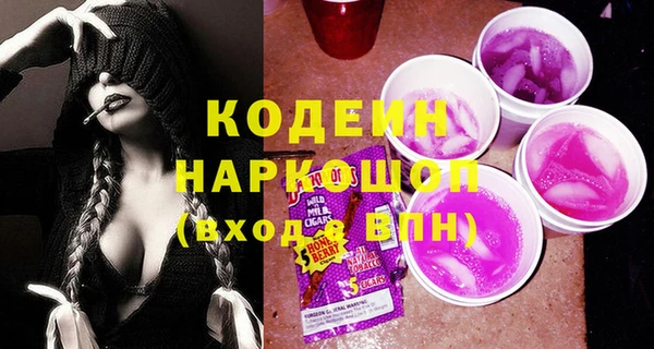 молекула духа Надым
