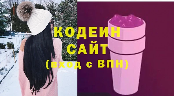 молекула духа Надым