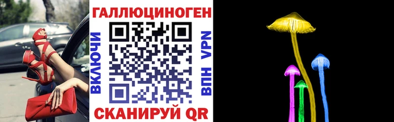 Псилоцибиновые грибы мицелий  Приволжск 
